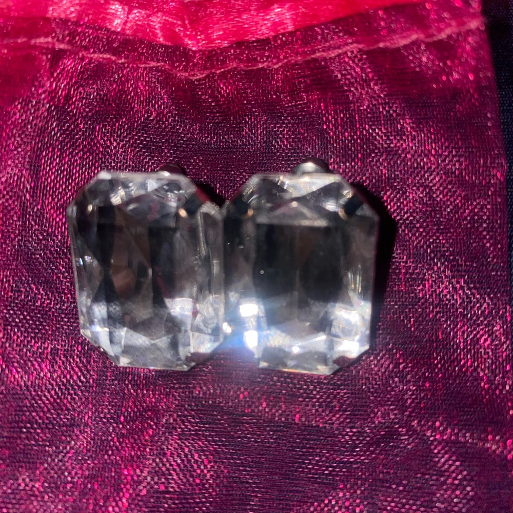 Gorgeous Earrings